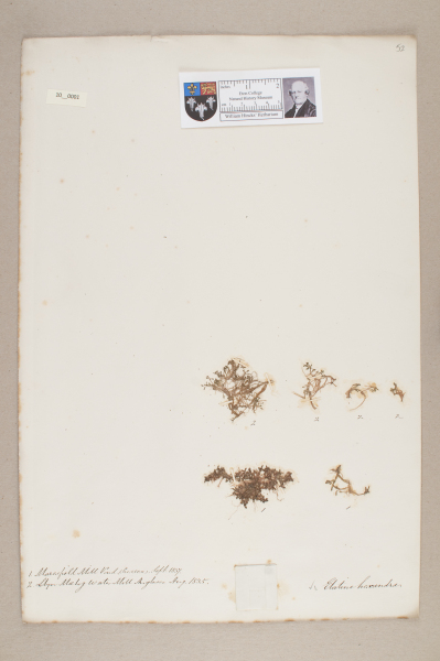 NHM_HH_10.1-2010 image NHM_HH_10.1-2010