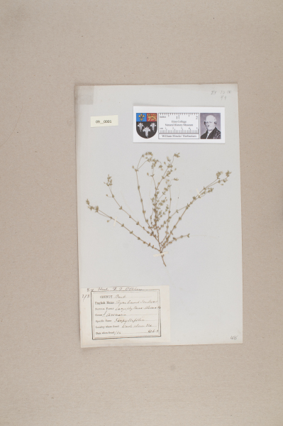 NHM_HH_9.1-2010 image NHM_HH_9.1-2010