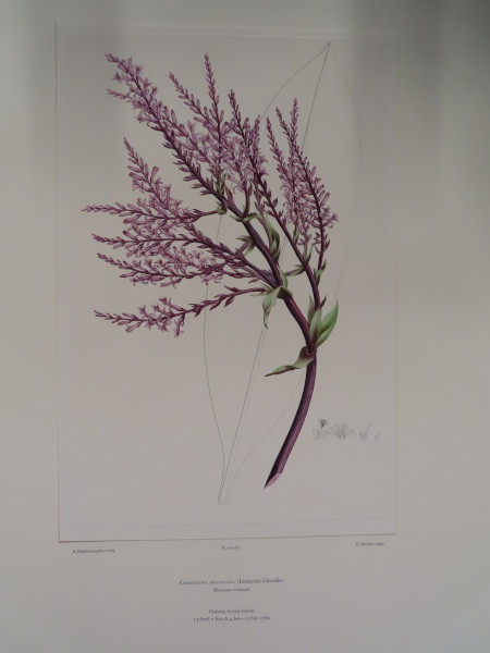 FDA-E.2916_31_24-2016 image FDA-E.2916_31_24-2016