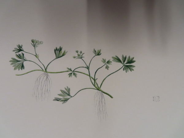 FDA-E.2916_33_5-2016-A image FDA-E.2916_33_5-2016-A