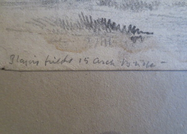 FDA-V.8-2016-O image FDA-V.8-2016-O