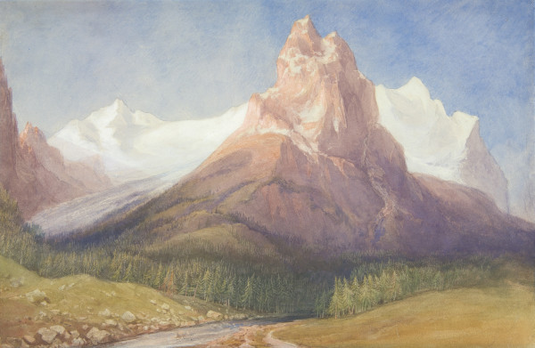 FDA-D.462-2010 image FDA-D.462-2010