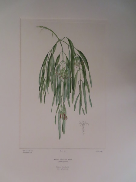 image FDA-E.2916_13_23-2016