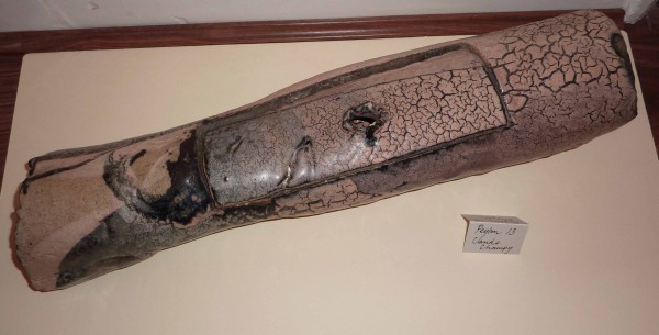 FDA-A.463-2016 image FDA-A.463-2016