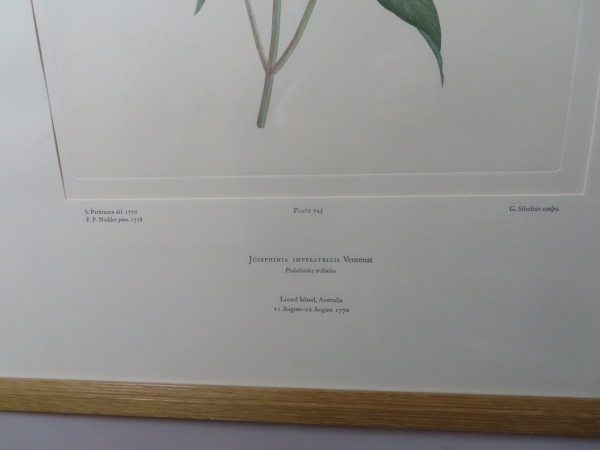 FDA-E.2916_11_23-2016-B image FDA-E.2916_11_23-2016-B