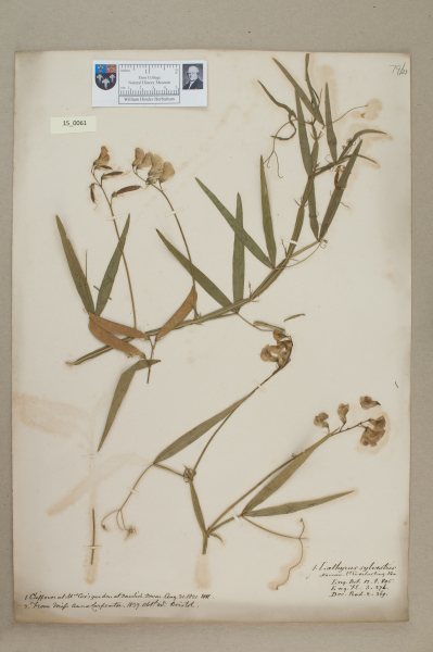 NHM_HH_15.61-2010 image NHM_HH_15.61-2010