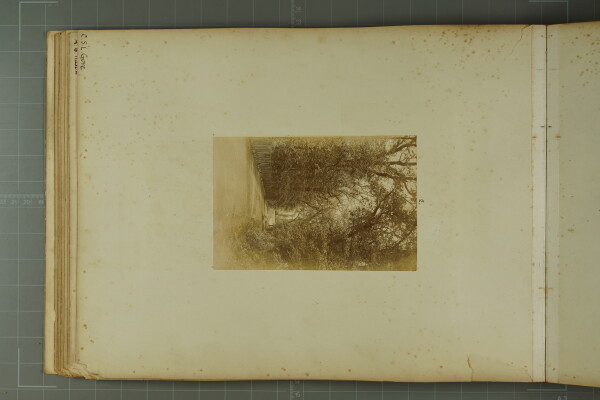 PA-A.81_18-2024 image PA-A.81_18-2024