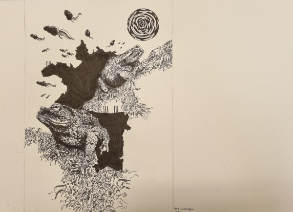 image FDA-D.1788_6-2025