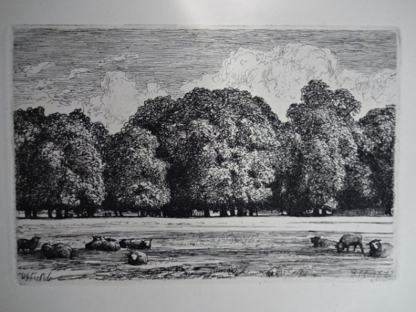 FDA-V.2-2015-N image FDA-V.2-2015-N