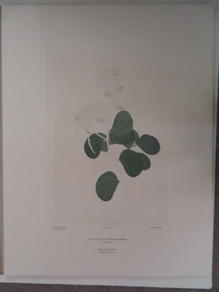 image FDA-E.2916_5_7-2016