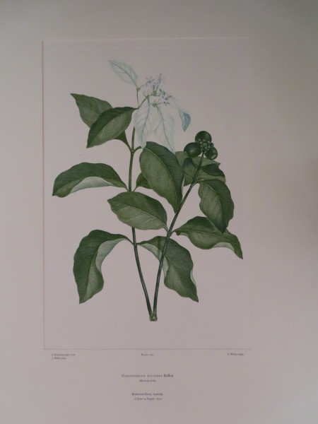 image FDA-E.2916_7_18-2016