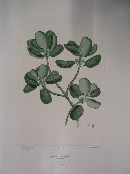 FDA-E.2916_23_6-2016 image FDA-E.2916_23_6-2016