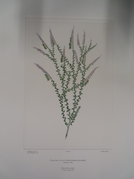 FDA-E.2916_1_21-2016 image FDA-E.2916_1_21-2016