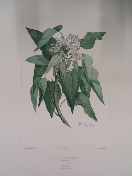 image FDA-E.2916_31_6-2016-A