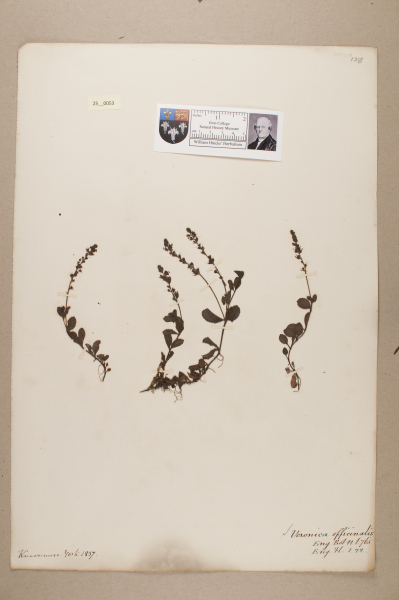 NHM_HH_25.53-2010 image NHM_HH_25.53-2010