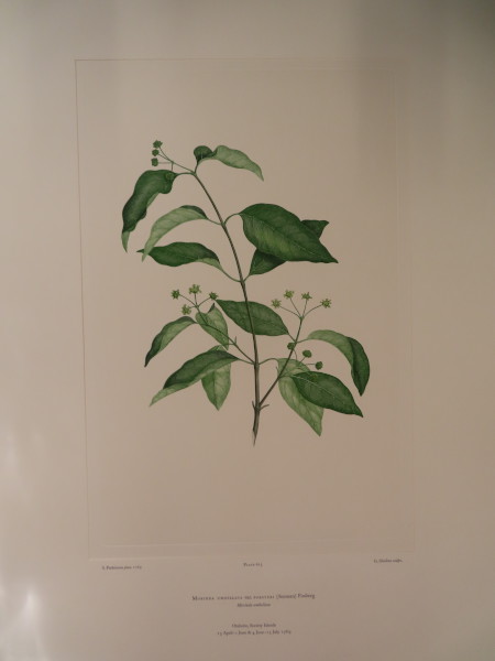 image FDA-E.2916_29_10-2016-A