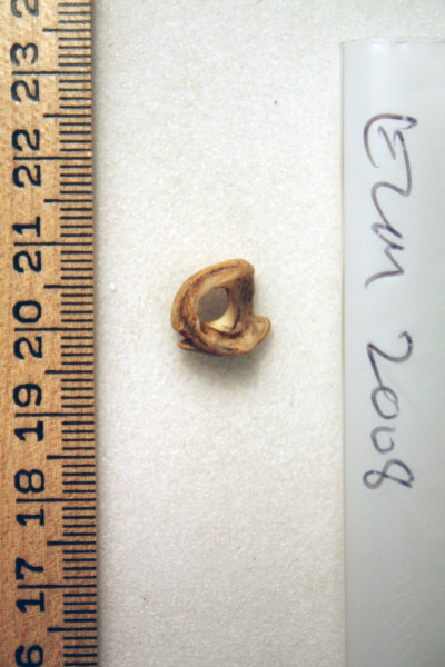 ECM.2008-2010-A image ECM.2008-2010-A