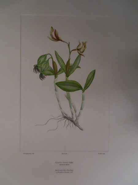 image FDA-E.2916_16_24-2016-A