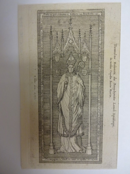 FDA-E.1781-2015 image FDA-E.1781-2015