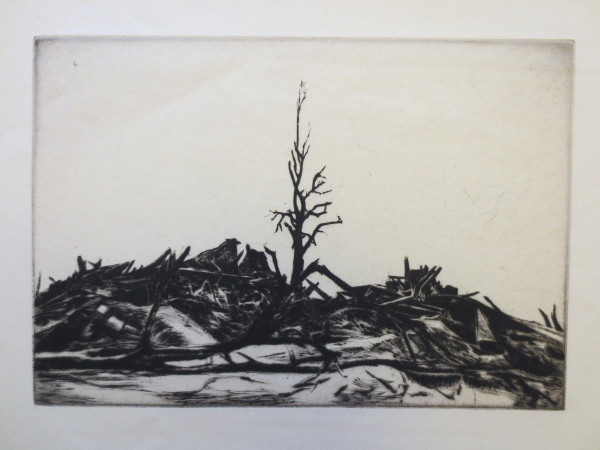 ECL-O.26_3-2014 image ECL-O.26_3-2014