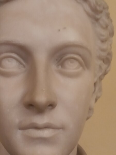 FDA-Sc.41-2017-A image FDA-Sc.41-2017-A