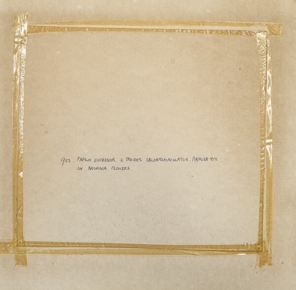 FDA-D.1787-2025-B image FDA-D.1787-2025-B