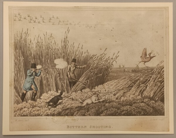 image FDA-E.575-2013-A