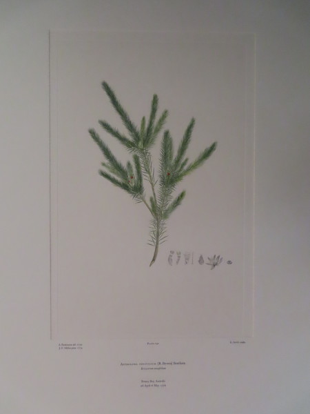 image FDA-E.2916_9_15-2016-A