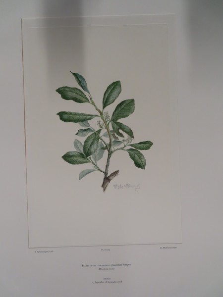 FDA-E.2916_19_8-2016 image FDA-E.2916_19_8-2016