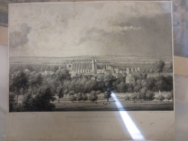 FDA-E.2410-2015 image FDA-E.2410-2015