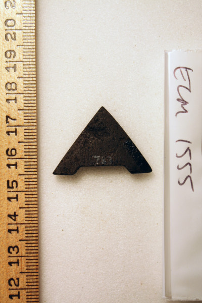 ECM.1555-2010-B image ECM.1555-2010-B