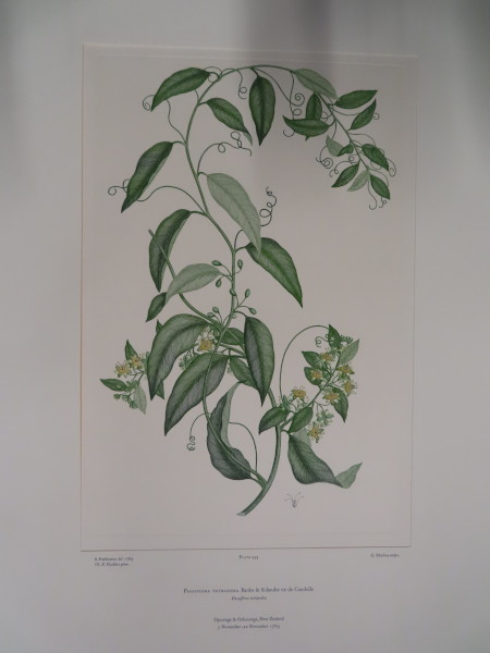 image FDA-E.2916_22_10-2016-A