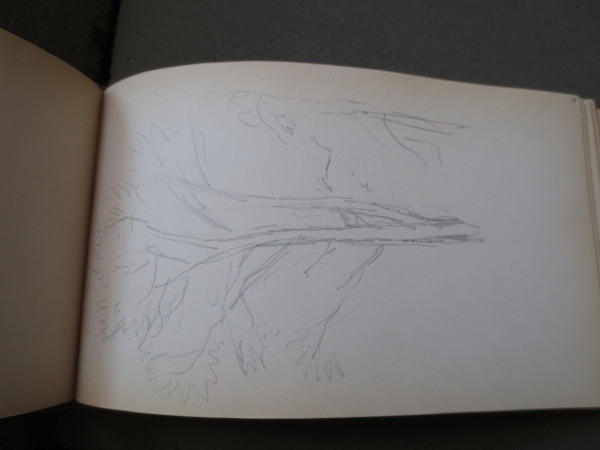 FDA-V.4-2016-P image FDA-V.4-2016-P