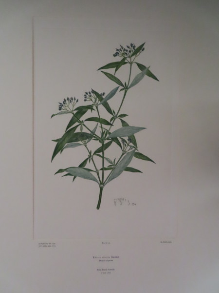 image FDA-E.2916_7_23-2016-A