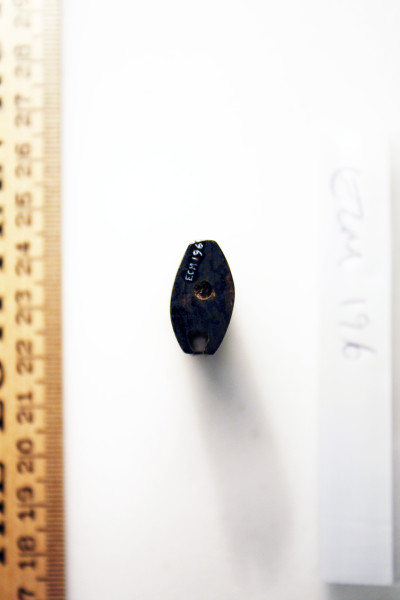 ECM.196-2010-F image ECM.196-2010-F