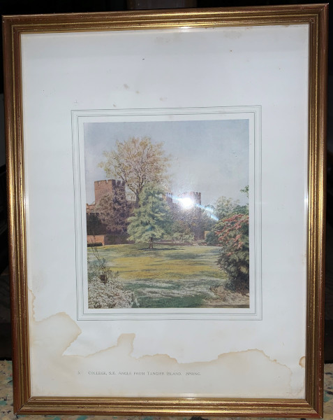 FDA-E.3173_5-2020 image FDA-E.3173_5-2020