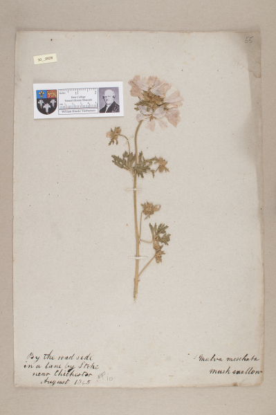 NHM_HH_10.28-2010 image NHM_HH_10.28-2010