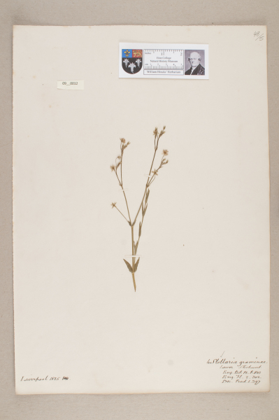 NHM_HH_9.12-2010 image NHM_HH_9.12-2010