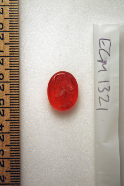 ECM.1321-2010-A image ECM.1321-2010-A