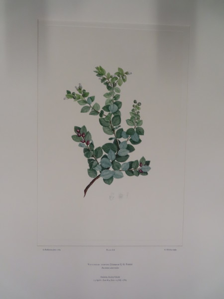 FDA-E.2916_29_15-2016-A image FDA-E.2916_29_15-2016-A