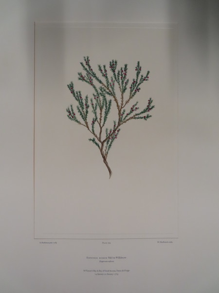 image FDA-E.2916_34_16-2016