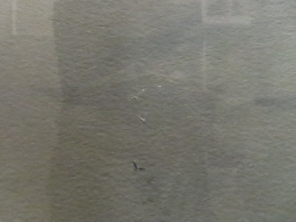 FDA-D.1666-2021-I image FDA-D.1666-2021-I