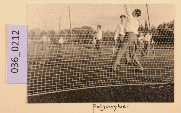 PA-A.36_212-2012 image PA-A.36_212-2012