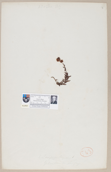 NHM_HH_13.10-2010 image NHM_HH_13.10-2010