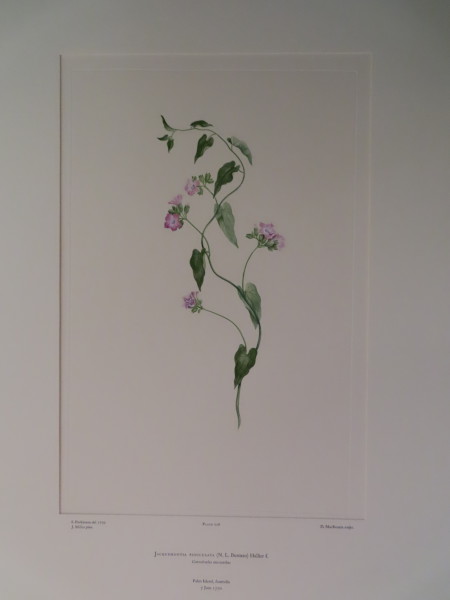 image FDA-E.2916_11_4-2016-A