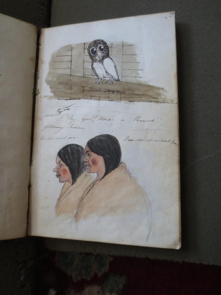 FDA-V.3-2016-N image FDA-V.3-2016-N