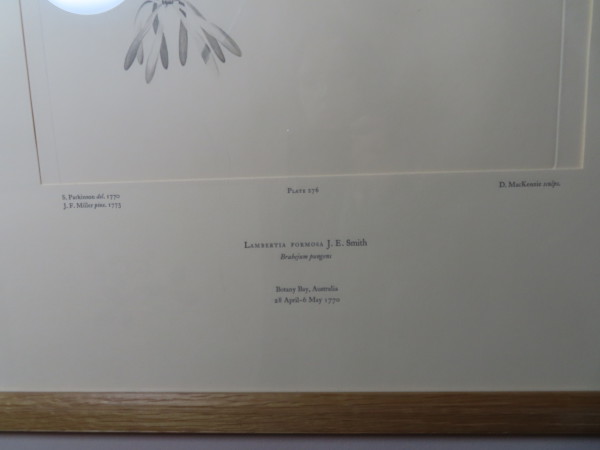 FDA-E.2916_13_9-2016-C image FDA-E.2916_13_9-2016-C