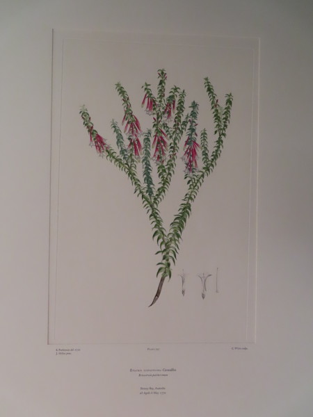 FDA-E.2916_9_20-2016-A image FDA-E.2916_9_20-2016-A