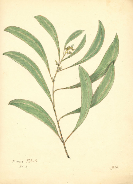 image NHM-HH.2_1-2014