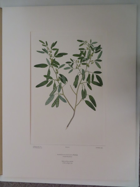 image FDA-E.2916_3_20-2016